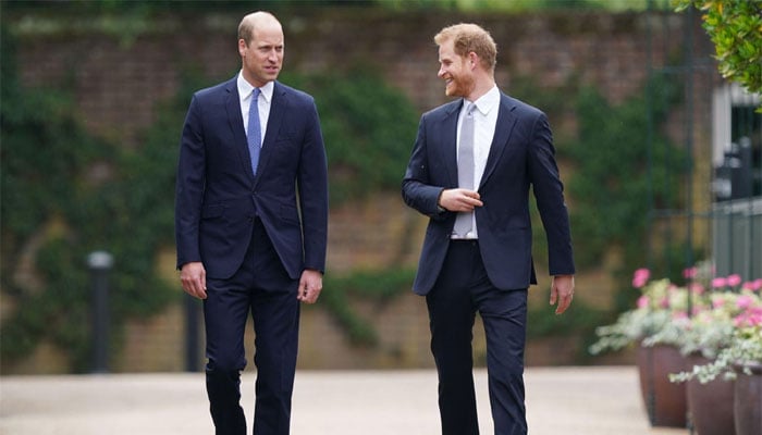 Why Prince Harry wants apology from royal family?