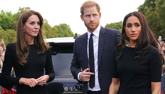 Kate Middleton, Meghan, Prince Harry share similar concerns