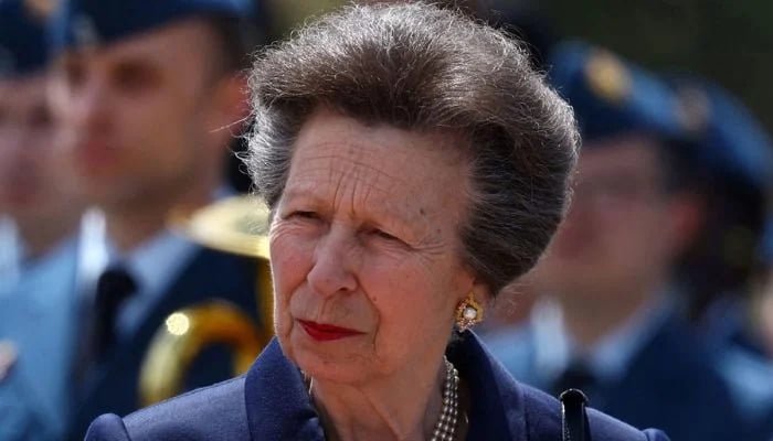 Prince Harry needs ‘teamwork lectures from Princess Anne: says expert