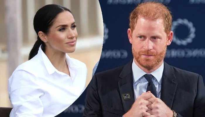 Meghan Markle thrashed for turning everything ‘into dust