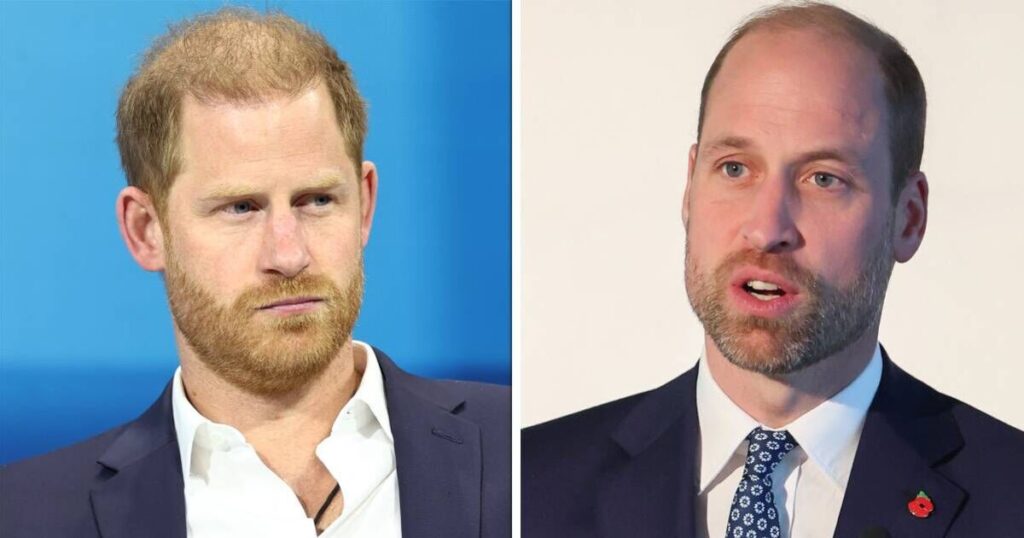 Prince Harry 'wears his heart on his sleeve more than Prince William' for one reason | Royal | News