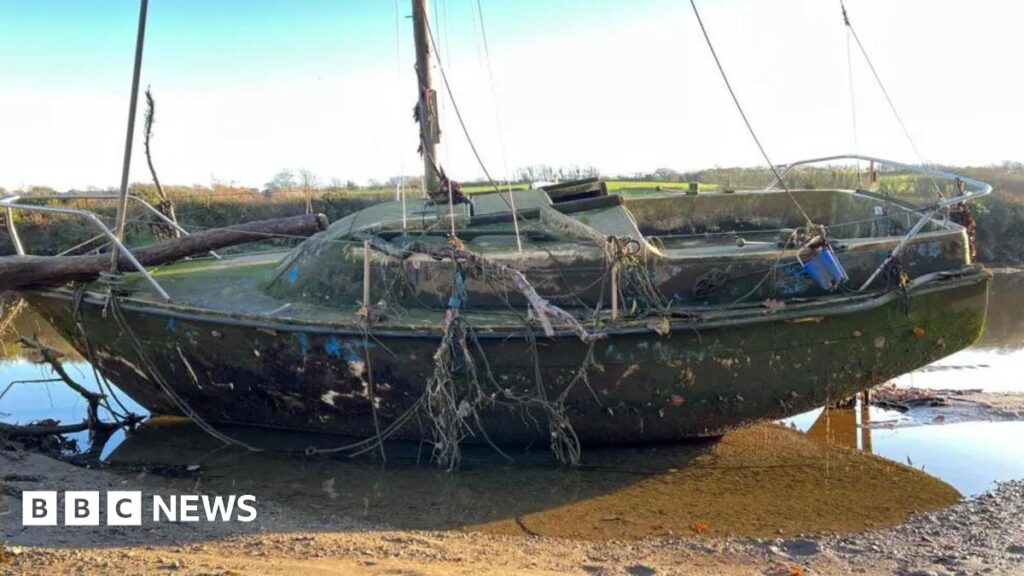 Prince William’s duchy removes abandoned boats from Devon river An abandoned yacht with a large amount of algae, a log and tangled ropes.