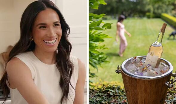 Meghan Markle's rose Meghan Markle's rose