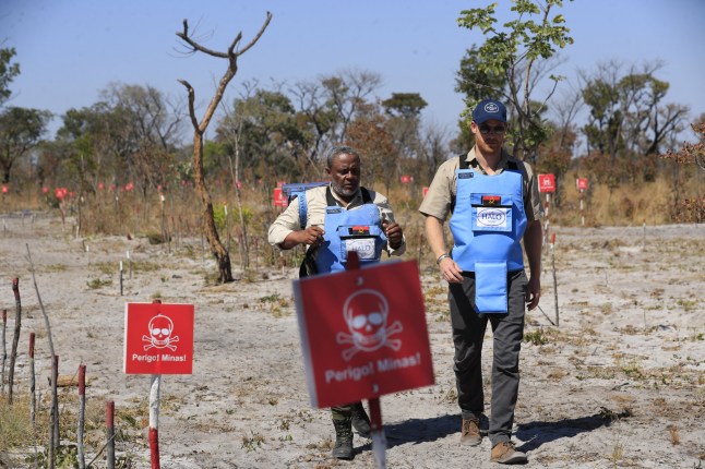 In a handout picture released by the Halo Trust charity, Britain's Prince Harry, Duke of Sussex takes part in a mine awareness safety class in Cuito Cuanavale, Cuando province, southern Angola, on July 16, 2025. Prince Harry visited Africa's largest minefield 28 years after his mother campaigned against landmines in the country in January 1997. (Photo by HALO Trust / AFP) / RESTRICTED TO EDITORIAL USE - MANDATORY CREDIT "AFP PHOTO / HALO TRUST" - HANDOUT - NO MARKETING NO ADVERTISING CAMPAIGNS - DISTRIBUTED AS A SERVICE TO CLIENTS (Photo by -/HALO Trust/AFP via Getty Images)