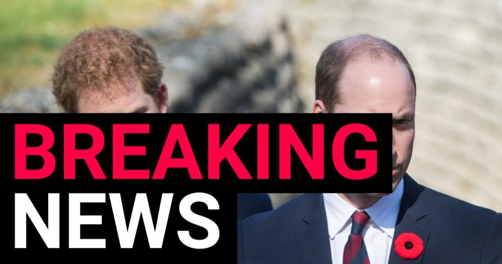Prince William and Harry's cousin, 20, found dead ‘with gun nearby' | News UK