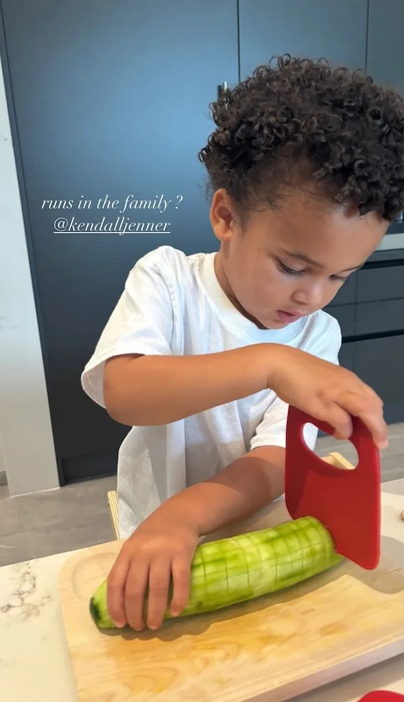 <p>Cucumber Cutting King</p>