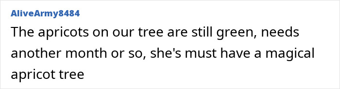 Screenshot of a comment discussing apricots with a sarcastic tone, linked to Meghan Markle fruit-picking photo fraud claims. Screenshot of a comment discussing apricots with a sarcastic tone, linked to Meghan Markle fruit-picking photo fraud claims.