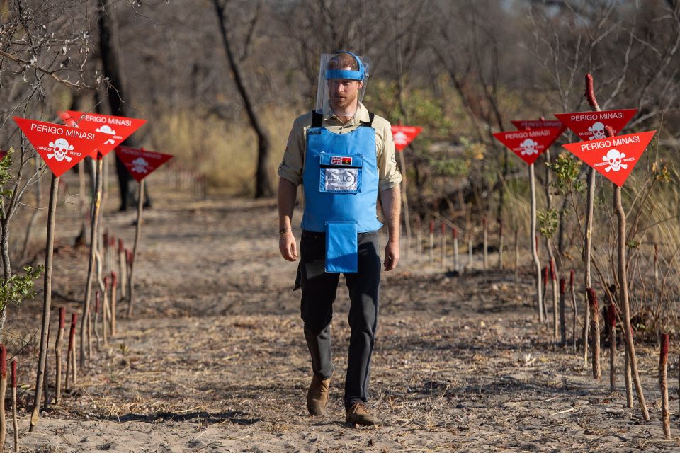 Prince Harry walking through a minefield.
