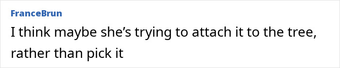 Comment text from user FranceBrun discussing Meghan Markle's fruit-picking photo, mentioning attaching fruit to a tree. Comment text from user FranceBrun discussing Meghan Markle's fruit-picking photo, mentioning attaching fruit to a tree.