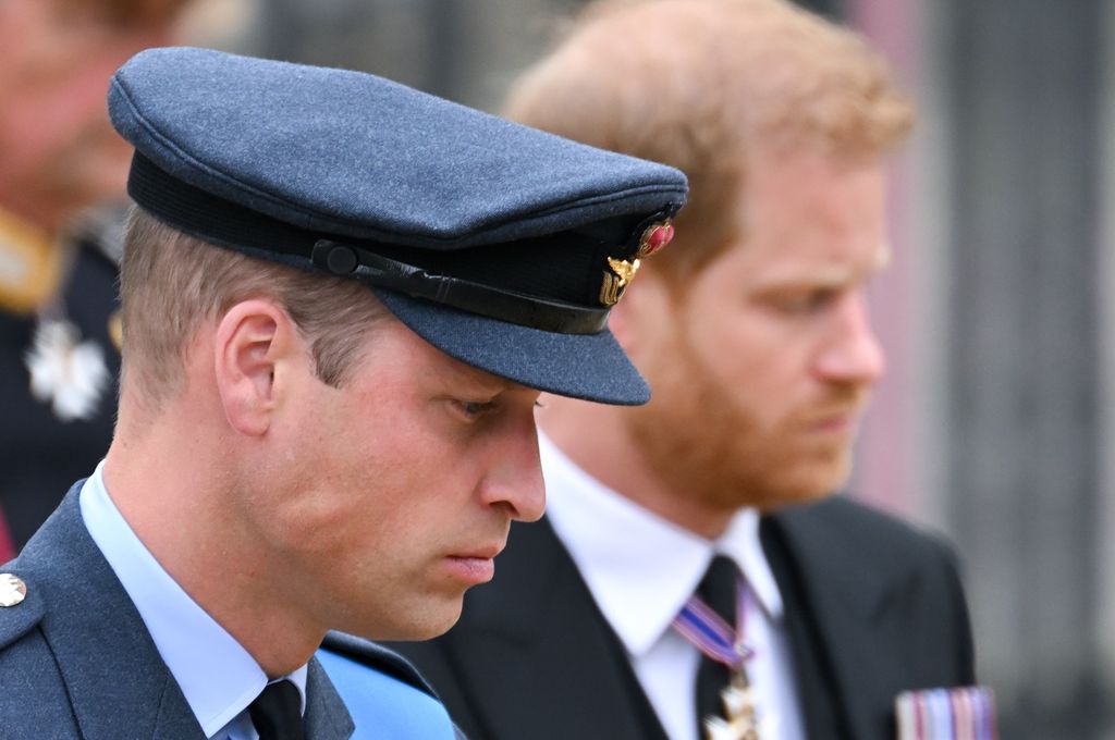 Prince William and Prince Harry were last pictured together at King Charles' coronation two years ago