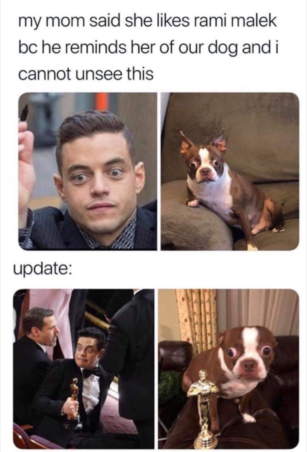sharing celebrity shitposts instead of working