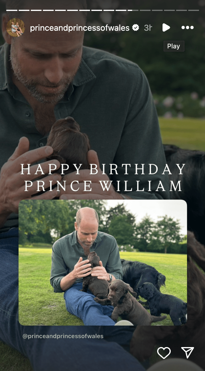 kate middleton prince william june royal rewind