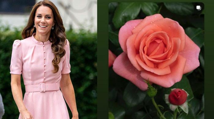 Kensington Palace makes delightful announcement about Kate Middleton