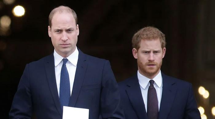 Prince Harry's key personality trait that sets him apart from William