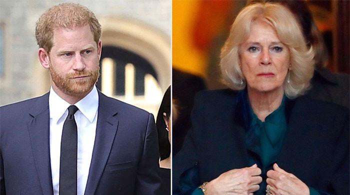 'Queen Camilla will always win over Prince Harry'