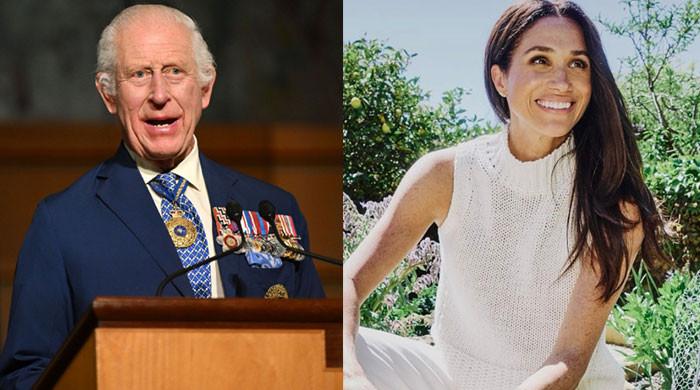 King Charles true feelings for Meghan Markle exposed amid title row: 'So intelligent'