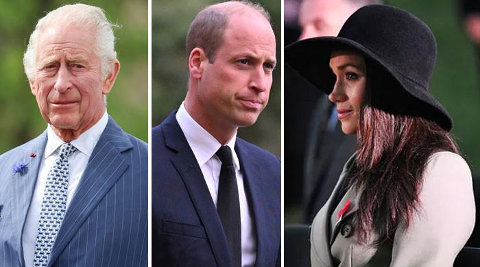 Prince William’s pal talks of the Palace’s animosity for Meghan Markle Prince William's pal talks of the Palace's animosity for Meghan Markle