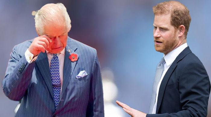 ‘Wounded animal' Prince Harry lashes out at loved ones