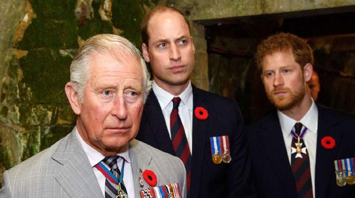 Prince William's secretly helped in Harry, King Charles' peace summit?