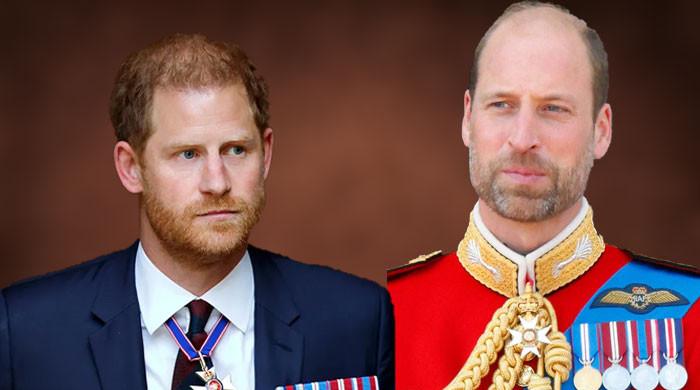 Prince Harry warned about who really holds the control to his children's royal titles