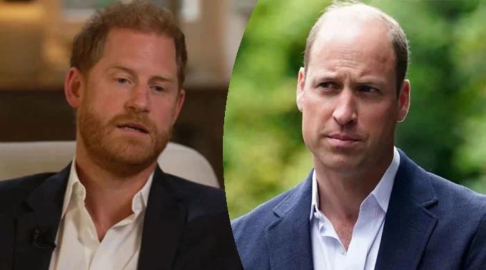 Prince William warned of ‘damage' if Harry stays enemy