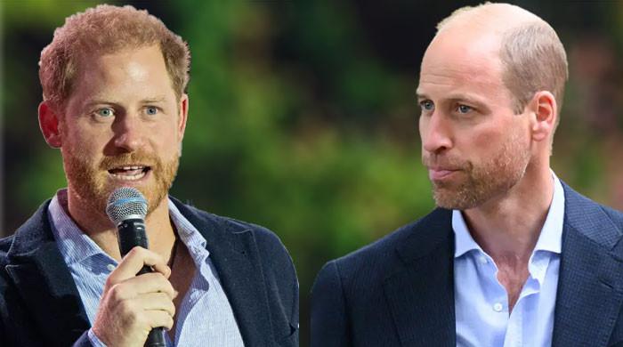 Prince Harry’s resentment of Prince William unearthed: ‘He’s still traumatized’ Prince Harry's resentment of Prince William unearthed: ‘He's still traumatized'