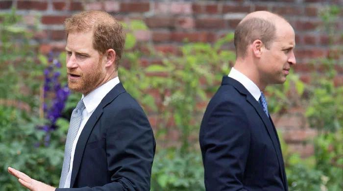 Prince William, Prince Harry rift has gone ‘beyond repair,’ says insider Prince William, Prince Harry rift has gone ‘beyond repair,' says insider