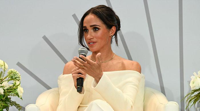 Meghan Markle urged to embrace 'rebel' image amid branding backlash