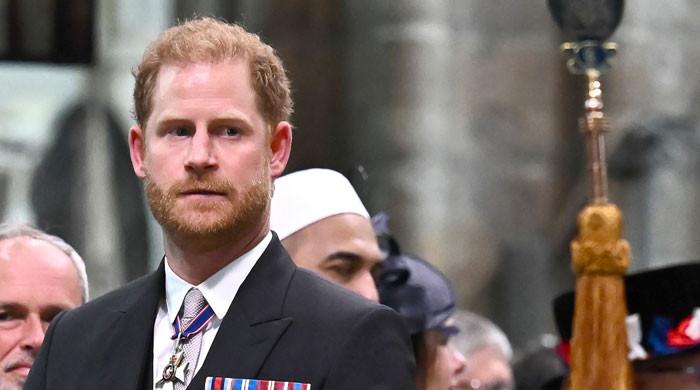 Palace signals 'dangerous weakness' on entertaining Prince Harry peace talks