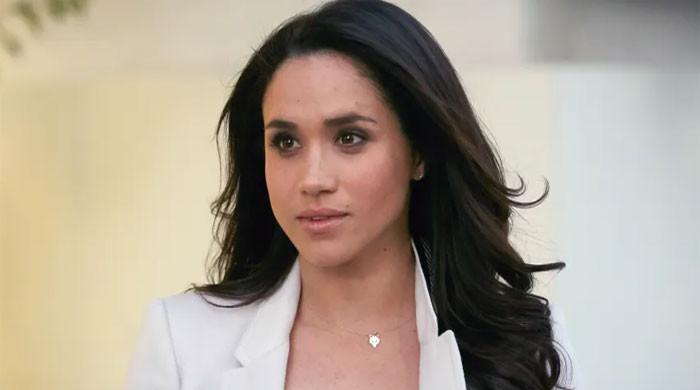 ‘Meghan Markle is someone with a game plan’ 'Meghan Markle is someone with a game plan'