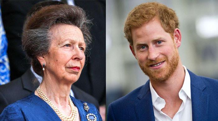 Prince Harry needs ‘teamwork’ lectures from Princess Anne: says expert Prince Harry needs ‘teamwork' lectures from Princess Anne: says expert