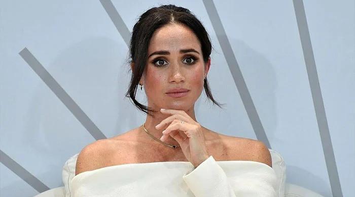 Meghan Markle skillfully showed 'monarchy failed to support her'