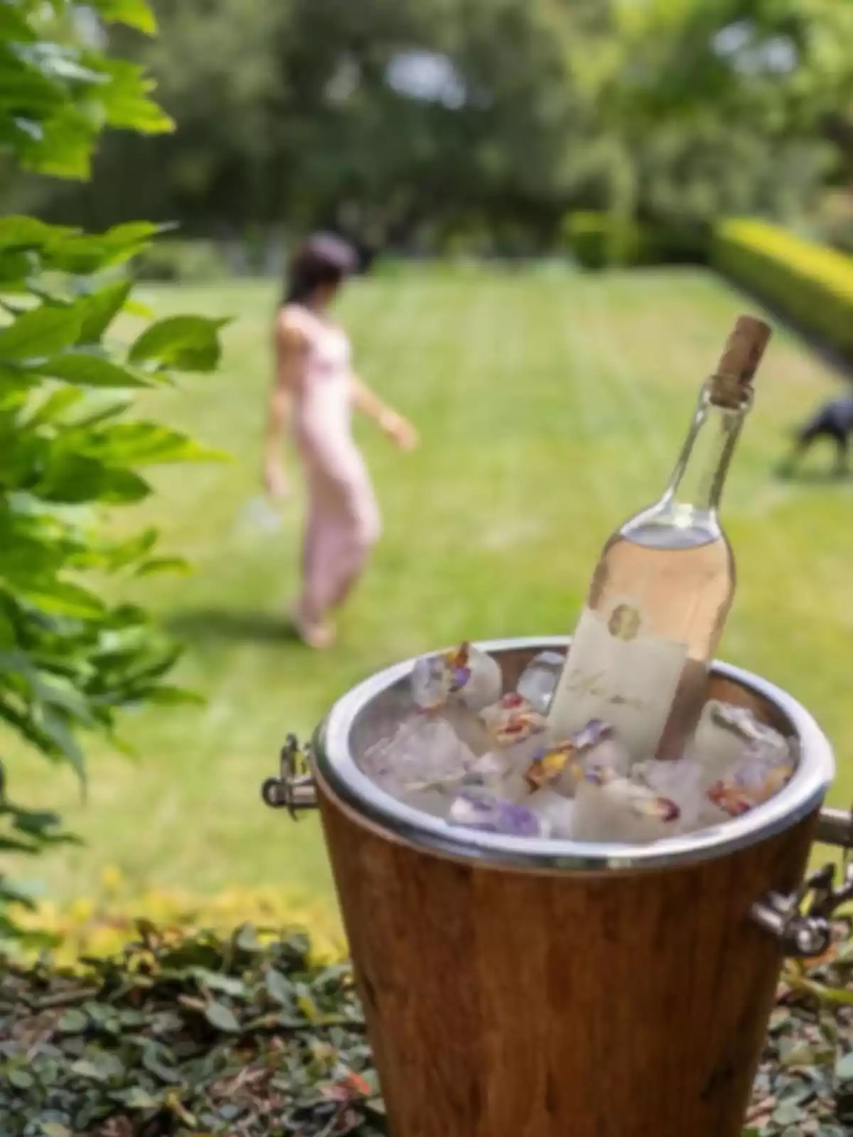 Bottle of rosé wine in a wooden bucket with ice decorated with flowers in a garden, in the background a blurred person walking on the grass