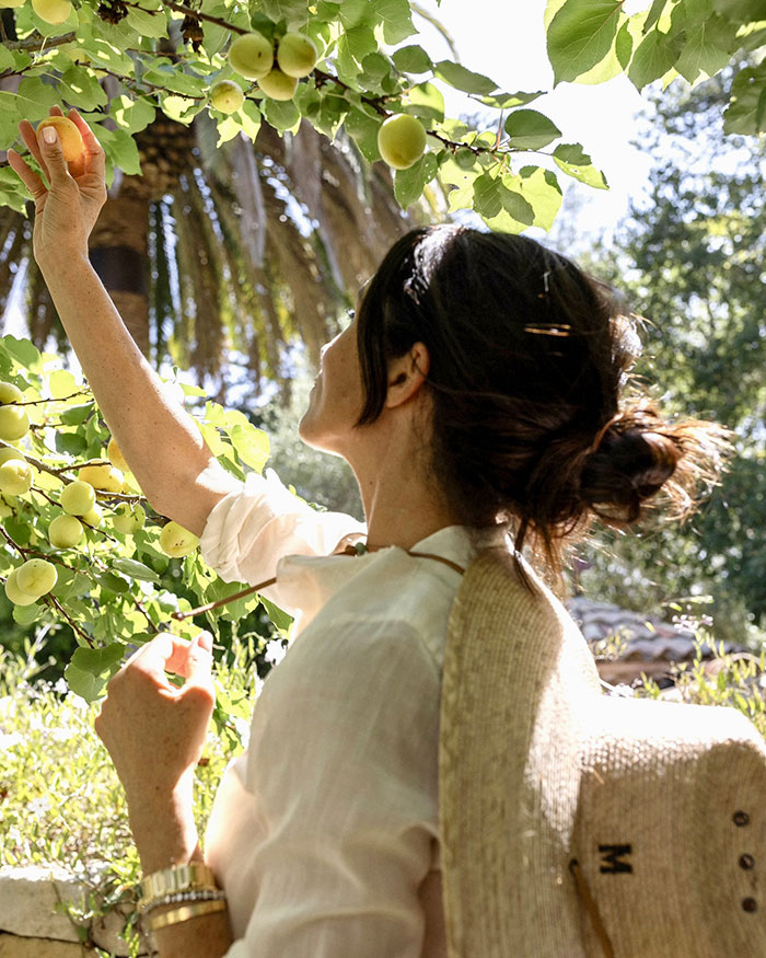 Woman picking fruit from a tree in bright sunlight, related to Meghan Markle fruit-picking photo accusations. Woman picking fruit from a tree in bright sunlight, related to Meghan Markle fruit-picking photo accusations.
