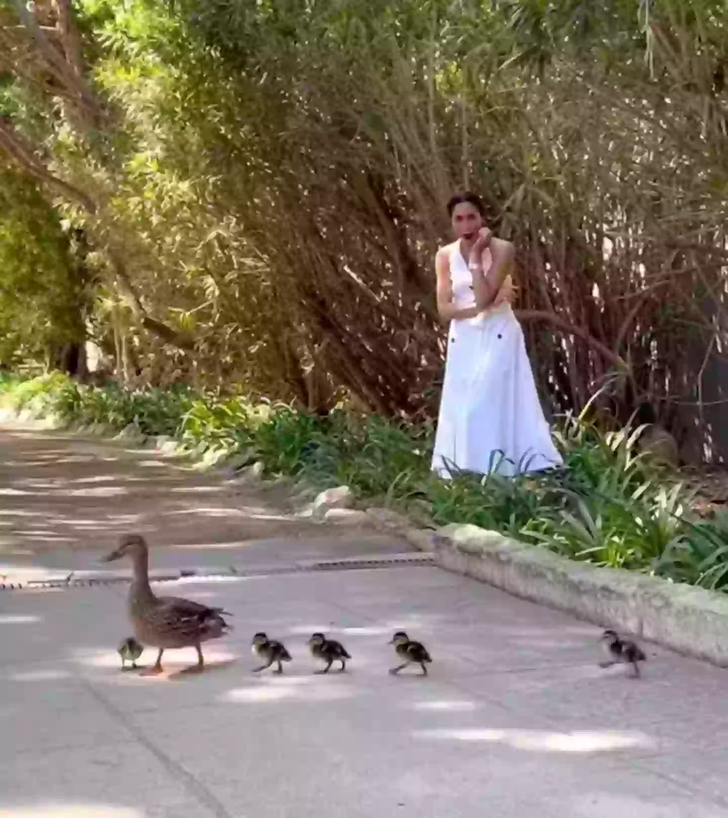 Oprah recalled the moment Prince Harry rang her up for help in transporting the duckies (Instagram/@meghan)