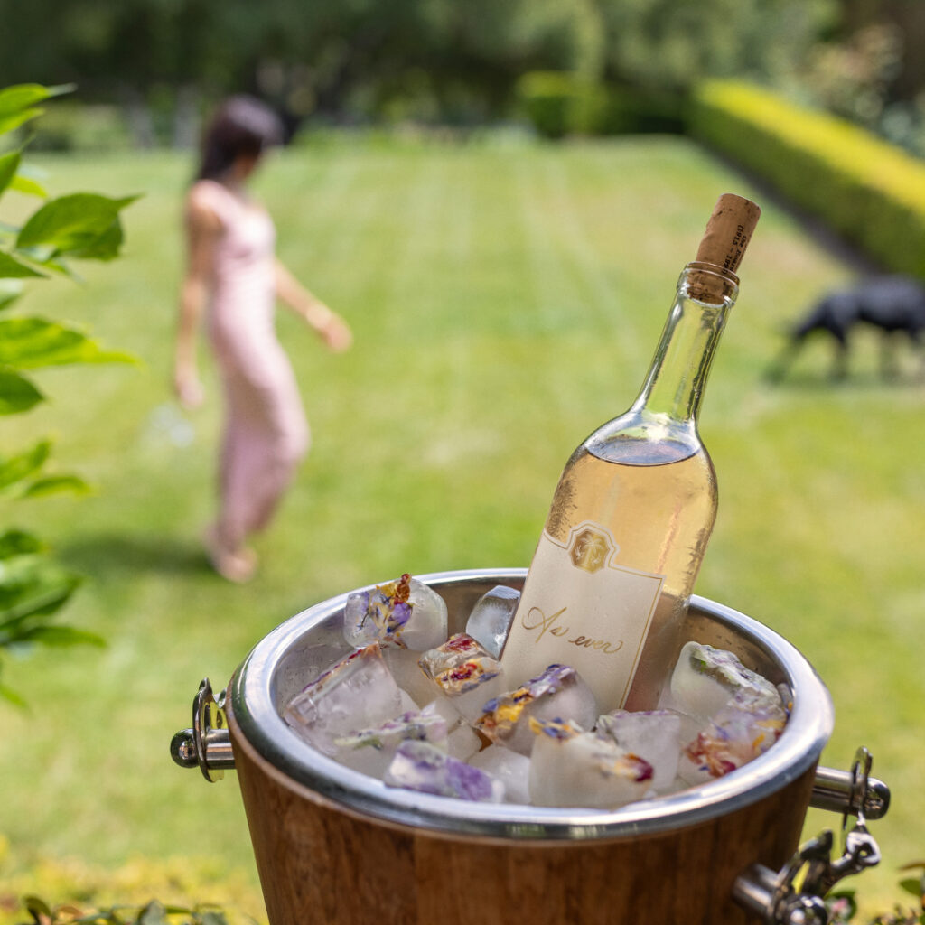 Meghan Markle’s rosé-tinted reality | The Spectator