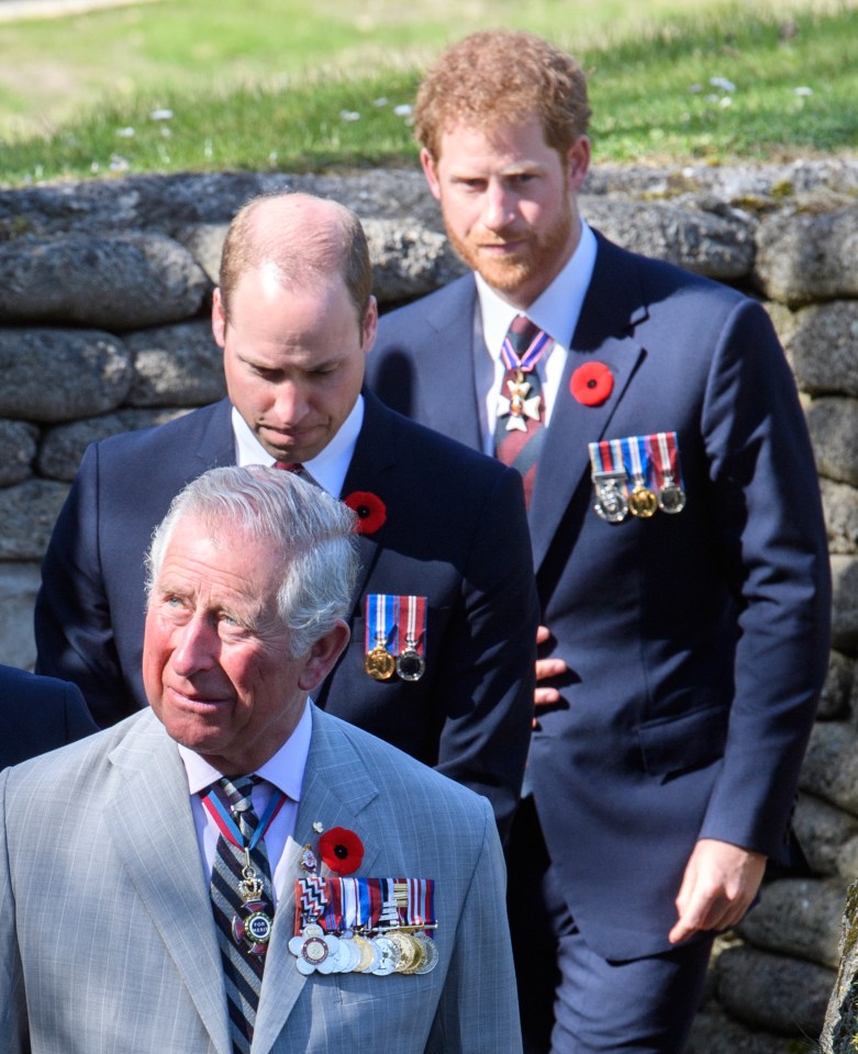 Prince Charles, Prince William, and Prince Harry at Vimy Ridge.