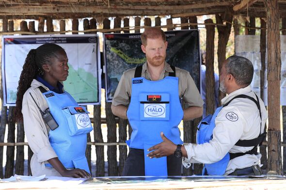 Prince Harry Angola (25197649581755)