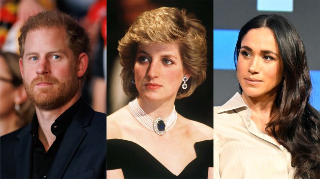 What Is Prince Harry & Tania Jenkins' Relationship?