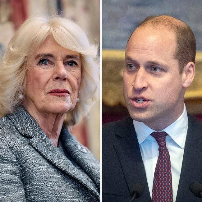 Queen Camilla Reportedly Thinks Prince William Is 'Trying To Create Issues' And Undermine King Charles, Photographer Says: 'She's Told Charles To Stop It'