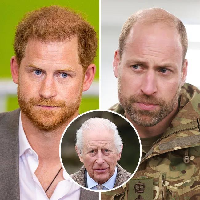 Royal Insider Suggests Prince William And Prince Harry Are Reportedly 'Reconnecting' Amid Reports King Charles' 'Health Is Deteriorating More' Amid Cancer Battle: 'It Wouldn't Be Surprising'