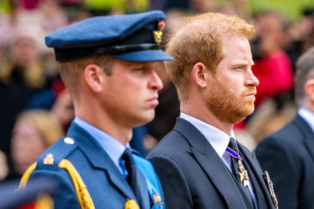 Prince William and Prince Harry
