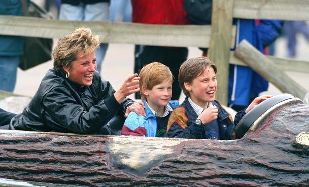 Diana Princess Of Wales, Prince William & Prince Harry 