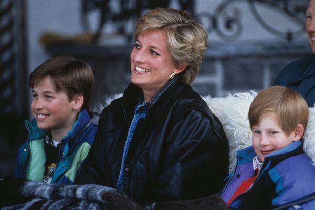 Diana Princess Of Wales, Prince William & Prince Harry 