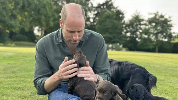 Prince William is seen with his new puppies in a birthday snap