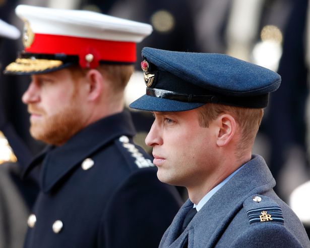 William and Harry at the Cenotaph on Remembrance Sunday in 2019 
