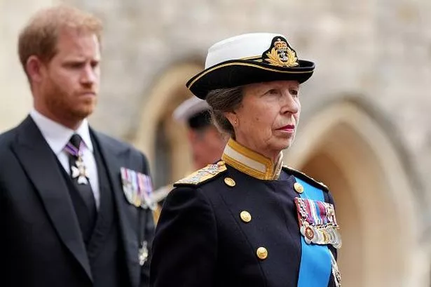 Prince Harry and Princess Anne 