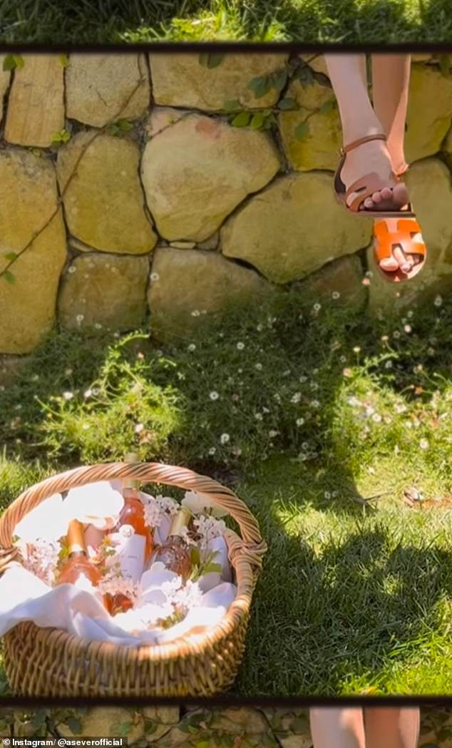In the video, Meghan swings her Hermes-clad feet while sitting on a wall, her basket filled with flowers and bottles of wine
