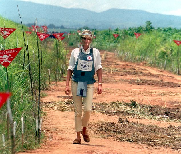 Diana (pictured in Angola in 1997) inspired Harry to work with children suffering from HIV/Aids