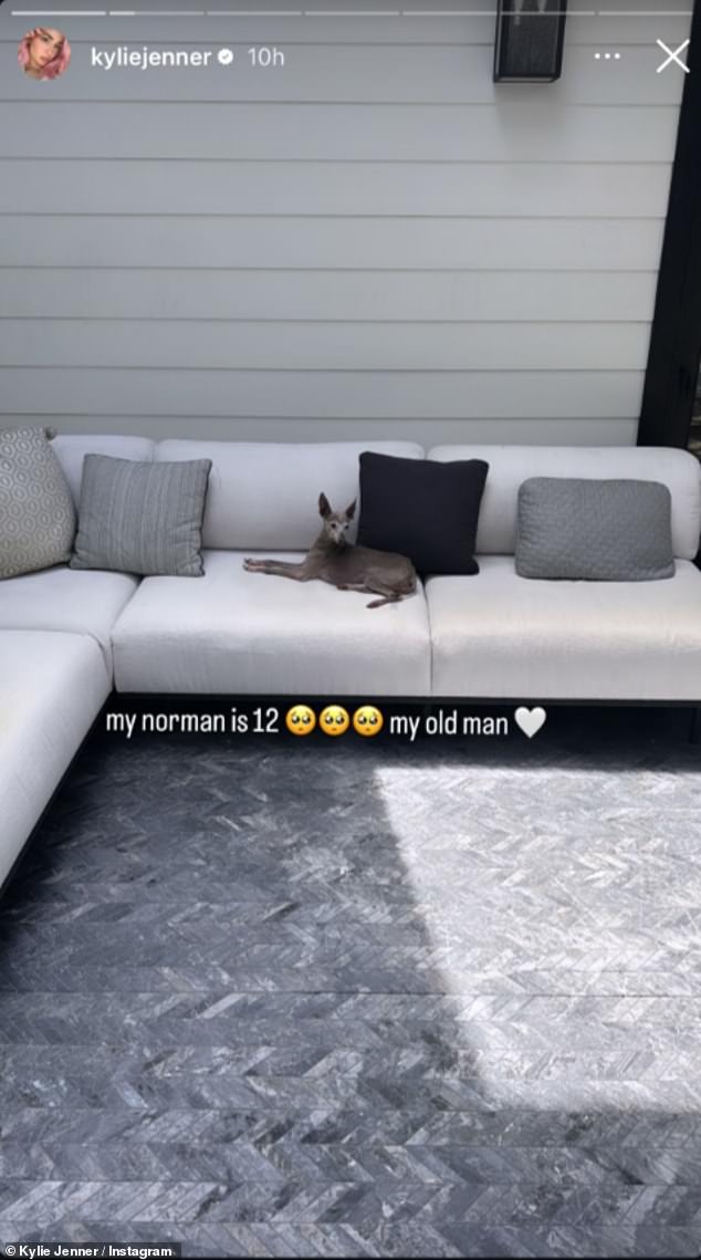 Earlier this week, the beauty mogul, 28, shared a series of nostalgic pictures on her Instagram Story of the beloved pet she's had since she was a teenager